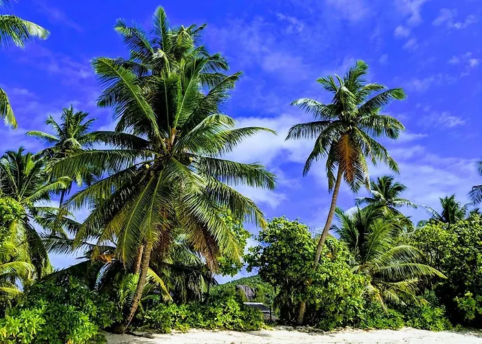 Chalets D'Anse Forbans Selfcatering