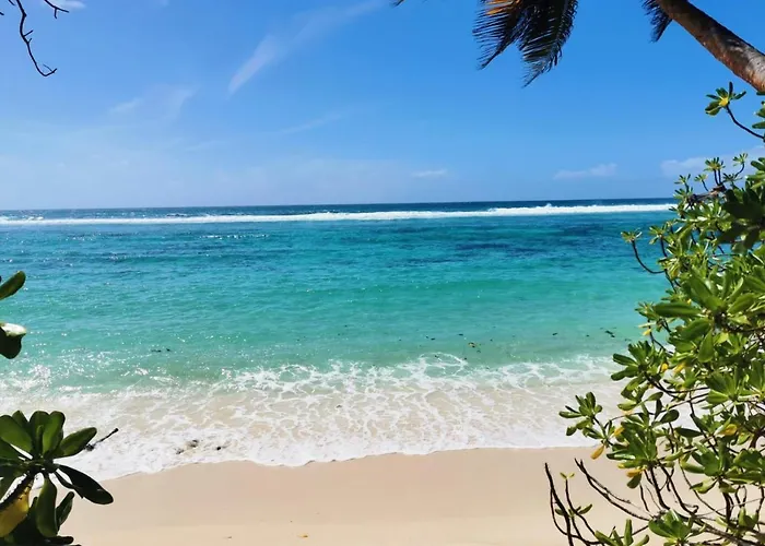 Chalets D'Anse Forbans Selfcatering