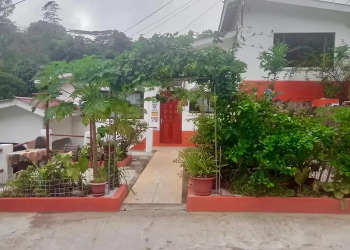 Papaya Guesthouse