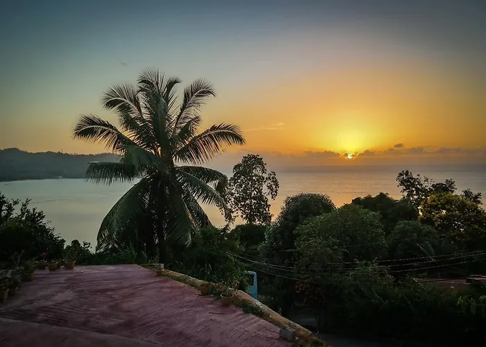 Horizon View