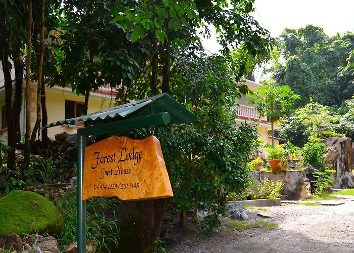 Forest Lodge